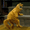 avt29.gif