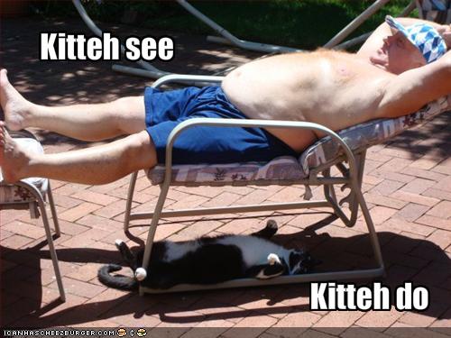 funny-pictures-cat-does-what-owner-does.jpg