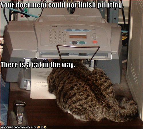 funny-pictures-cat-in-printer.jpg