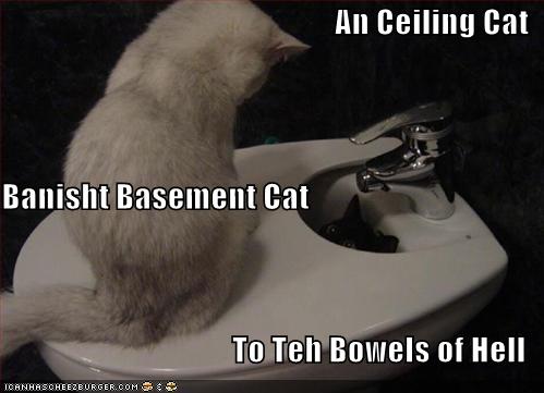 funny-pictures-ceiling-cat-banished-basement-cat-bowels-hell.jpg