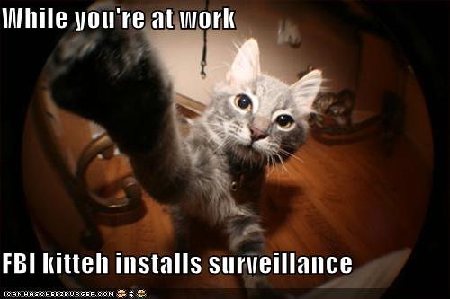 funny-pictures-fbi-cat-installs-surveillance-while-you-are-away.jpg