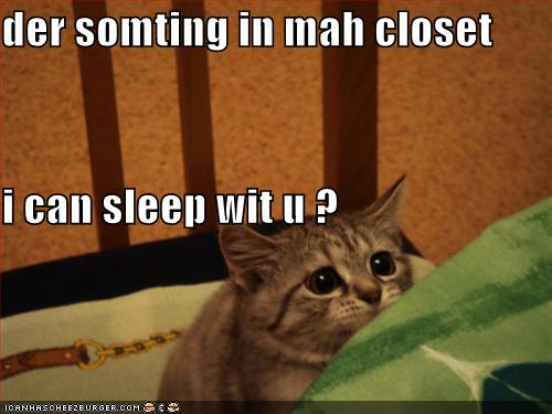 funny-pictures-scared-cat-asks-to-sleep-with-you.jpg
