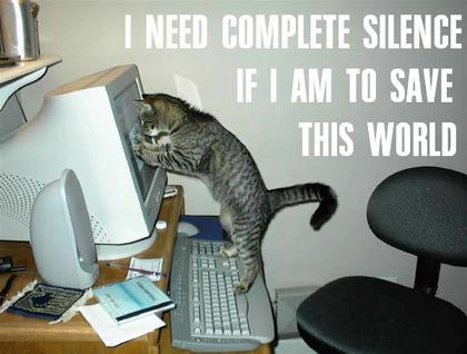 funny_cat_pictures_084.jpg