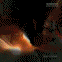rawintro3.gif