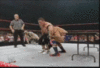t280487676_11795_4.gif